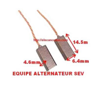 Balais Charbons SEV 300821 pour alternateur