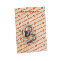 Balais Charbons DUCELLIER 581133 pour alternateur