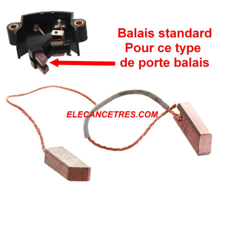 Balais Charbons PARIS RHONE 75411 pour alternateur