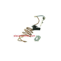 Rupteur / Vis platinées DUCELLIER 582417