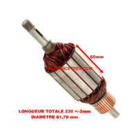 Induit dynamo PARIS RHONE 58142