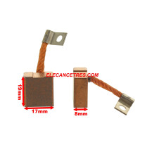 Balais Charbons MARELLI 74861781 pour démarreur