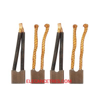 Balais charbons PARIS RHONE 72591 pour démarreur